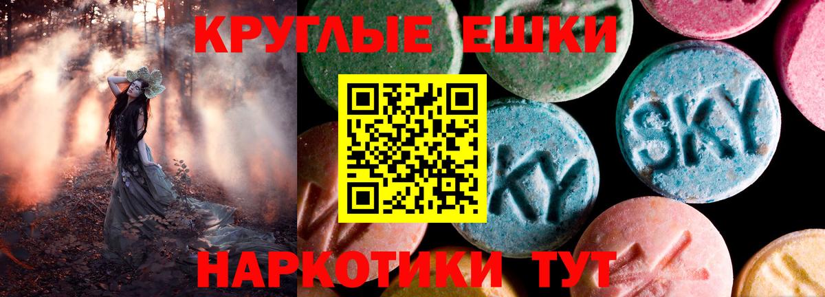 Экстази Philipp Plein  ЭКСТАЗИ  Строитель  Вход с VPN  Экстази Punisher 