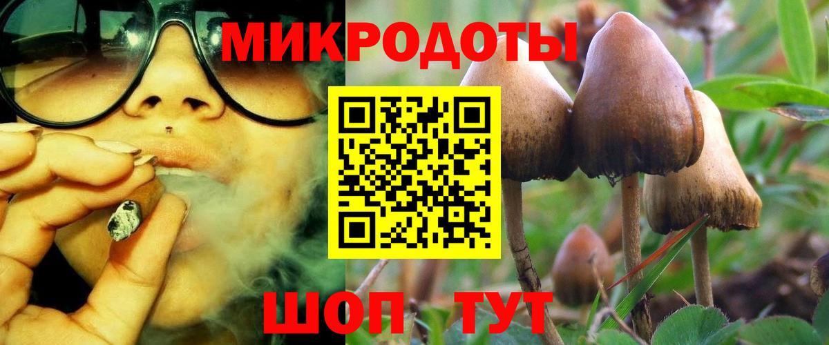 что такое   Вход с VPN  Псилоцибиновые грибы MAGIC MUSHROOMS  Строитель  Псилоцибиновые грибы мицелий 